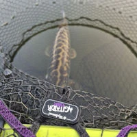Wychwood Agitator Predator HD Nets